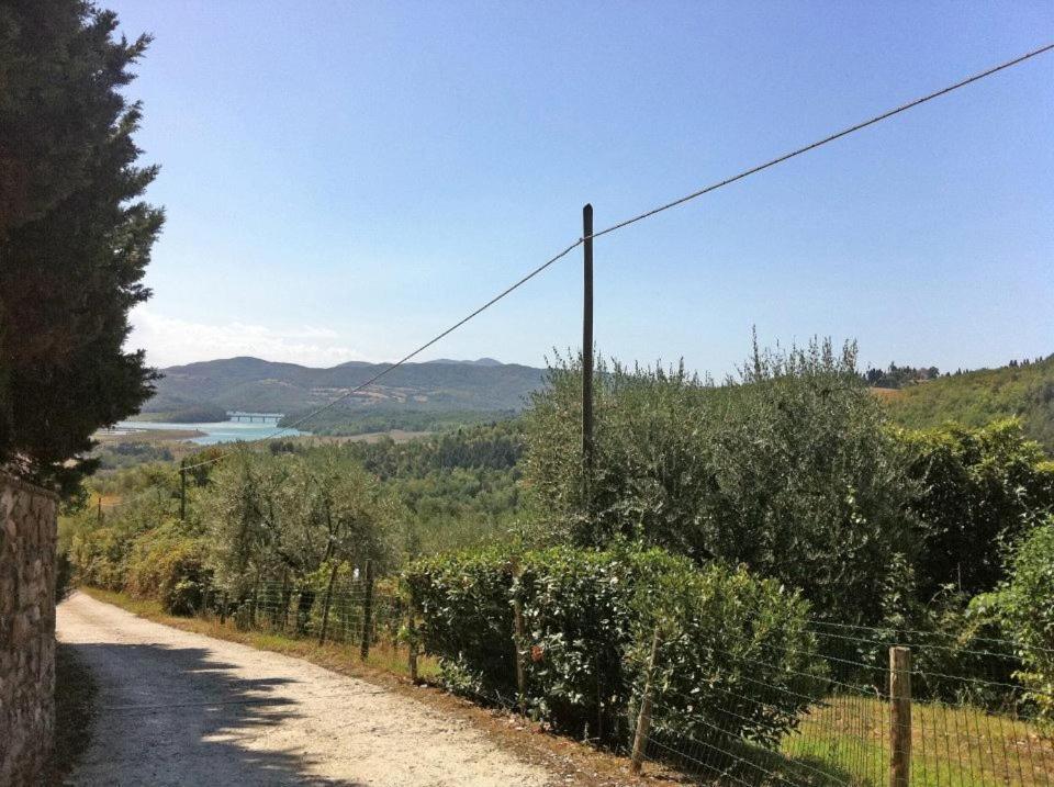 Agriturismo Il Palazzaccio Galliano Exterior foto