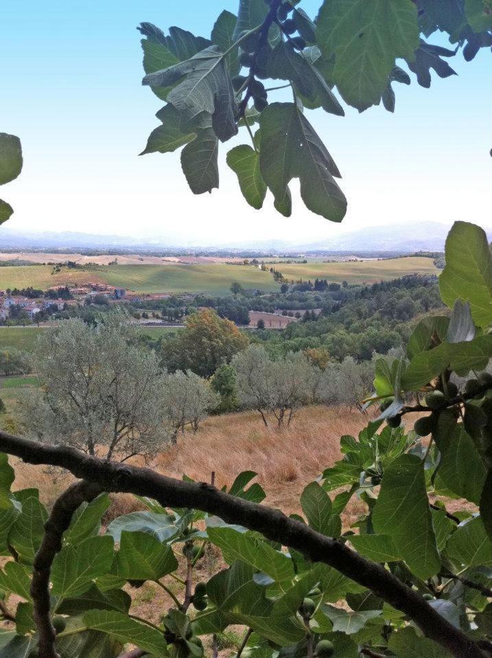 Agriturismo Il Palazzaccio Galliano Exterior foto