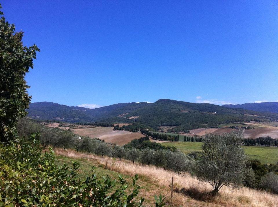 Agriturismo Il Palazzaccio Galliano Exterior foto